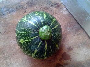 湖南夜晚吃瓜的视频,街头吃瓜，品味地道夜生活