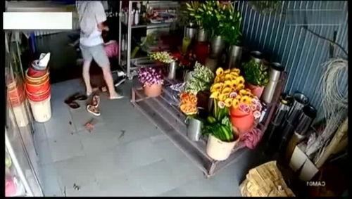 花店老板的吃瓜视频大全,趣味横生的日常瞬间