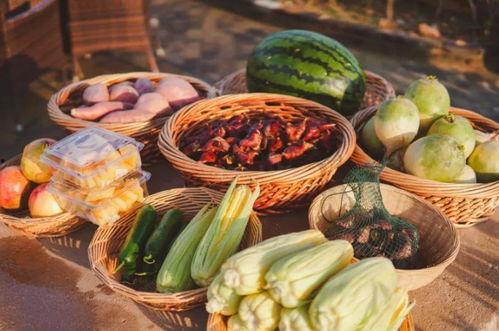 鄂州一家三口吃瓜视频,鄂州三口之家吃瓜欢乐时光