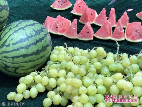 山东吃瓜最新视频播放网,最新热门播放盘点，揭秘网络热点背后的故事