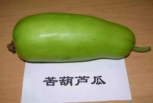 小孩吃葫芦瓜的视频大全,宝宝视频大全趣味盘点